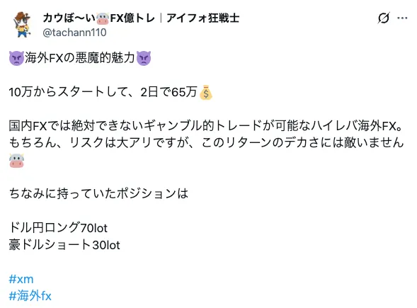 海外FXのハイレバ取引でたった2日で65万円を稼いでいる事例